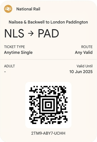 Google Wallet pass preview