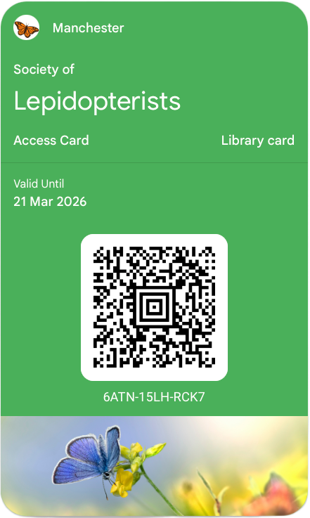 Google Wallet pass preview