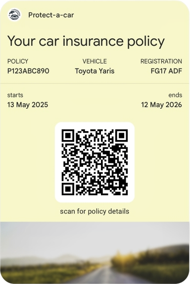 Google Wallet pass preview